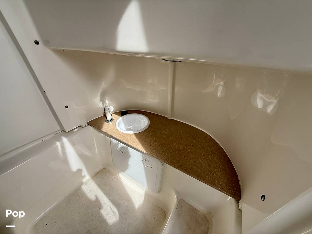 Slide: The Image of Sea Pro 239DV DLX 2021 - 15899035