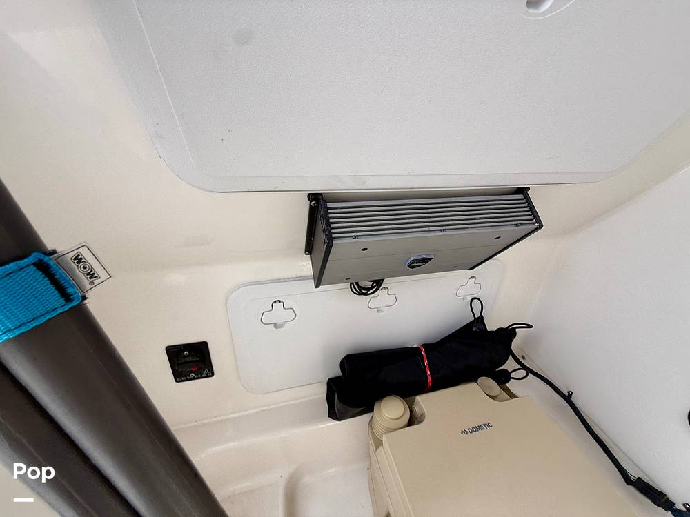 Slide: The Image of Sea Pro 239DV DLX 2021 - 15899038