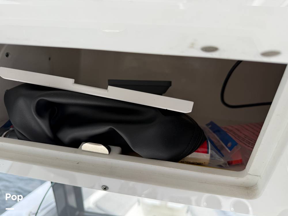 Slide: The Image of Sea Pro 239DV DLX 2021 - 15899040