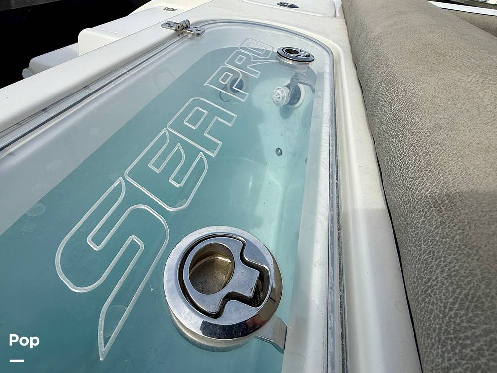 Slide: The Image of Sea Pro 239DV DLX 2021 - 15899043