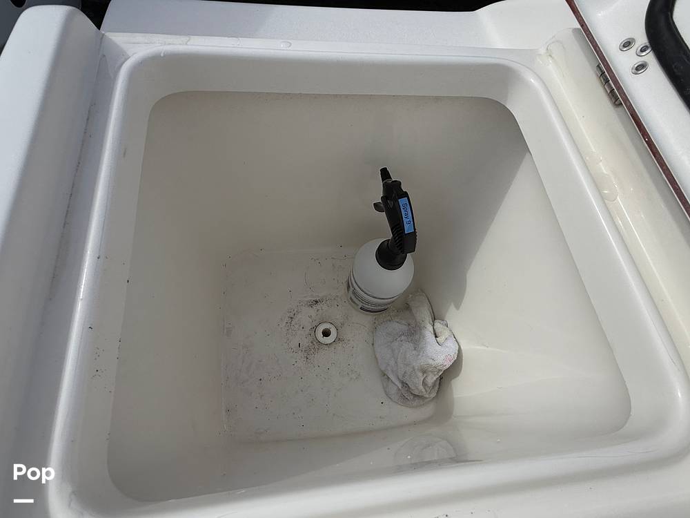 Slide: The Image of Sea Pro 239DV DLX 2021 - 15899047