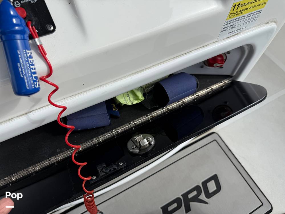 Slide: The Image of Sea Pro 239DV DLX 2021 - 15899050