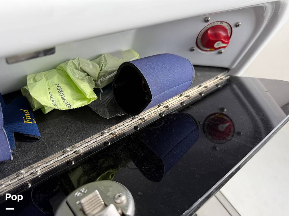 Slide: The Image of Sea Pro 239DV DLX 2021 - 15899051