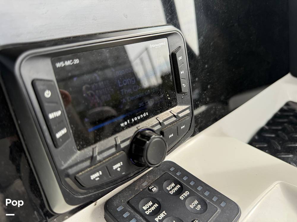 Slide: The Image of Sea Pro 239DV DLX 2021 - 15899054