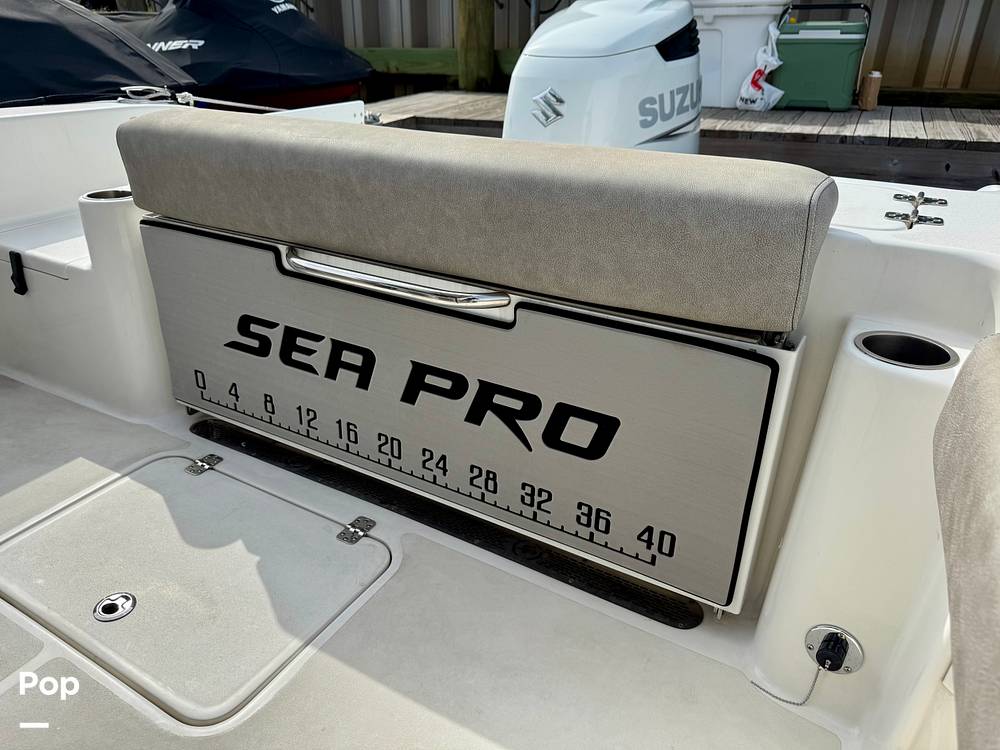 Slide: The Image of Sea Pro 239DV DLX 2021 - 15899057