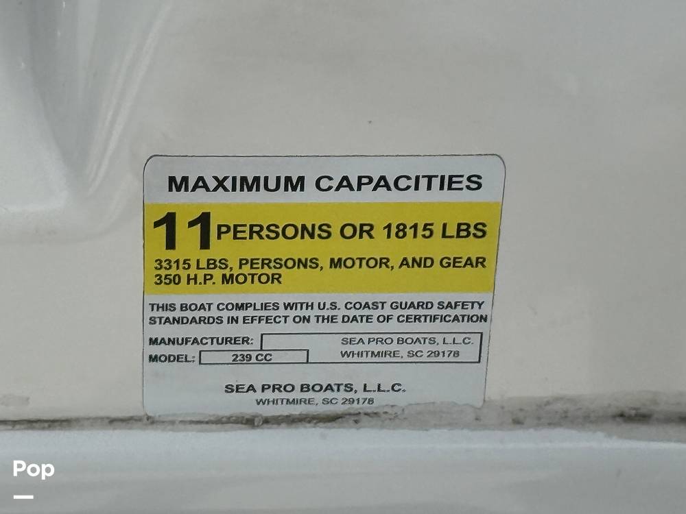 Slide: The Image of Sea Pro 239DV DLX 2021 - 15899060