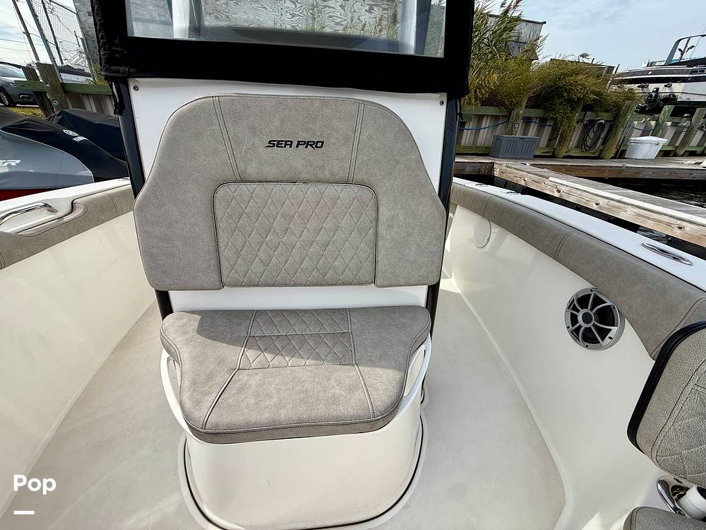 Slide: The Image of Sea Pro 239DV DLX 2021 - 15899029