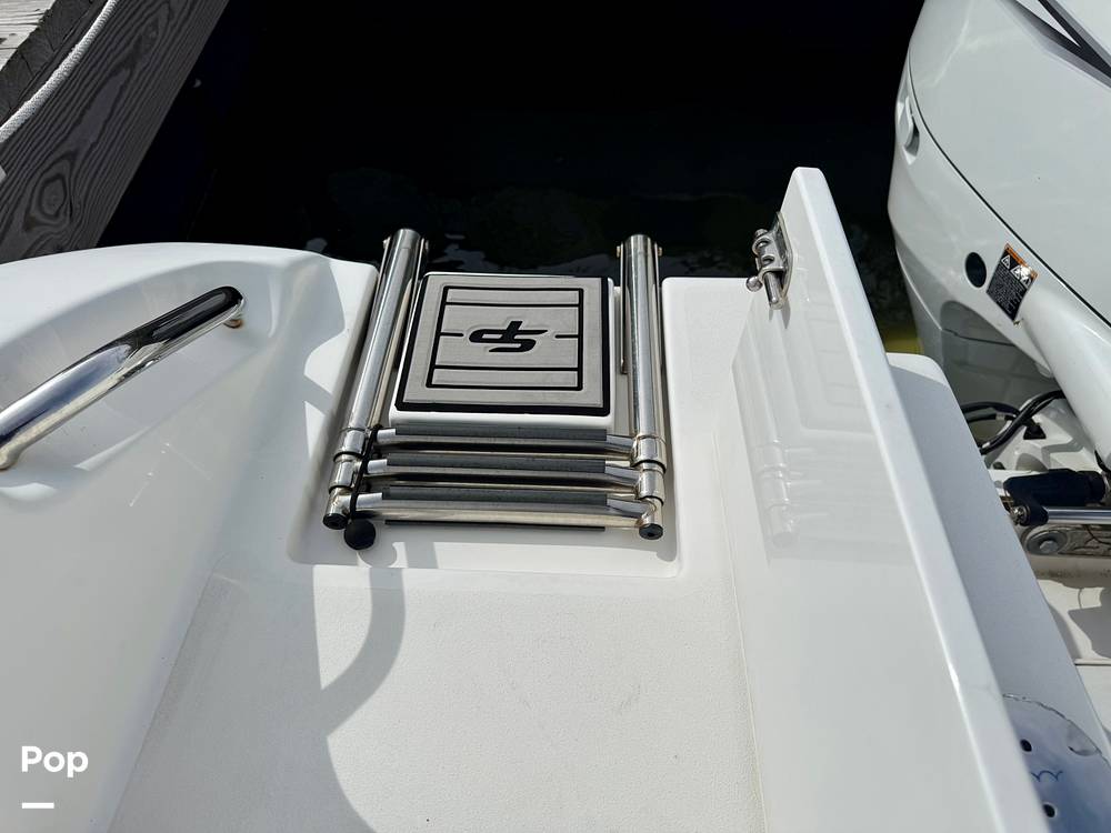 Slide: The Image of Sea Pro 239DV DLX 2021 - 15899055