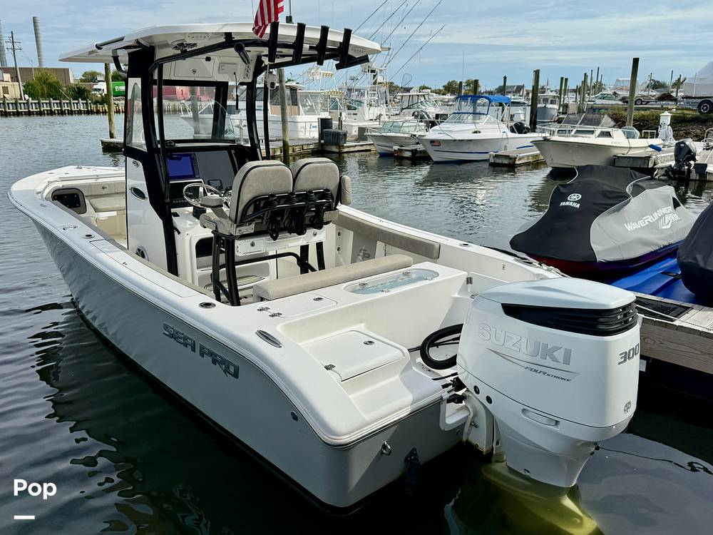 Slide: The Image of Sea Pro 239DV DLX 2021 - 15899062