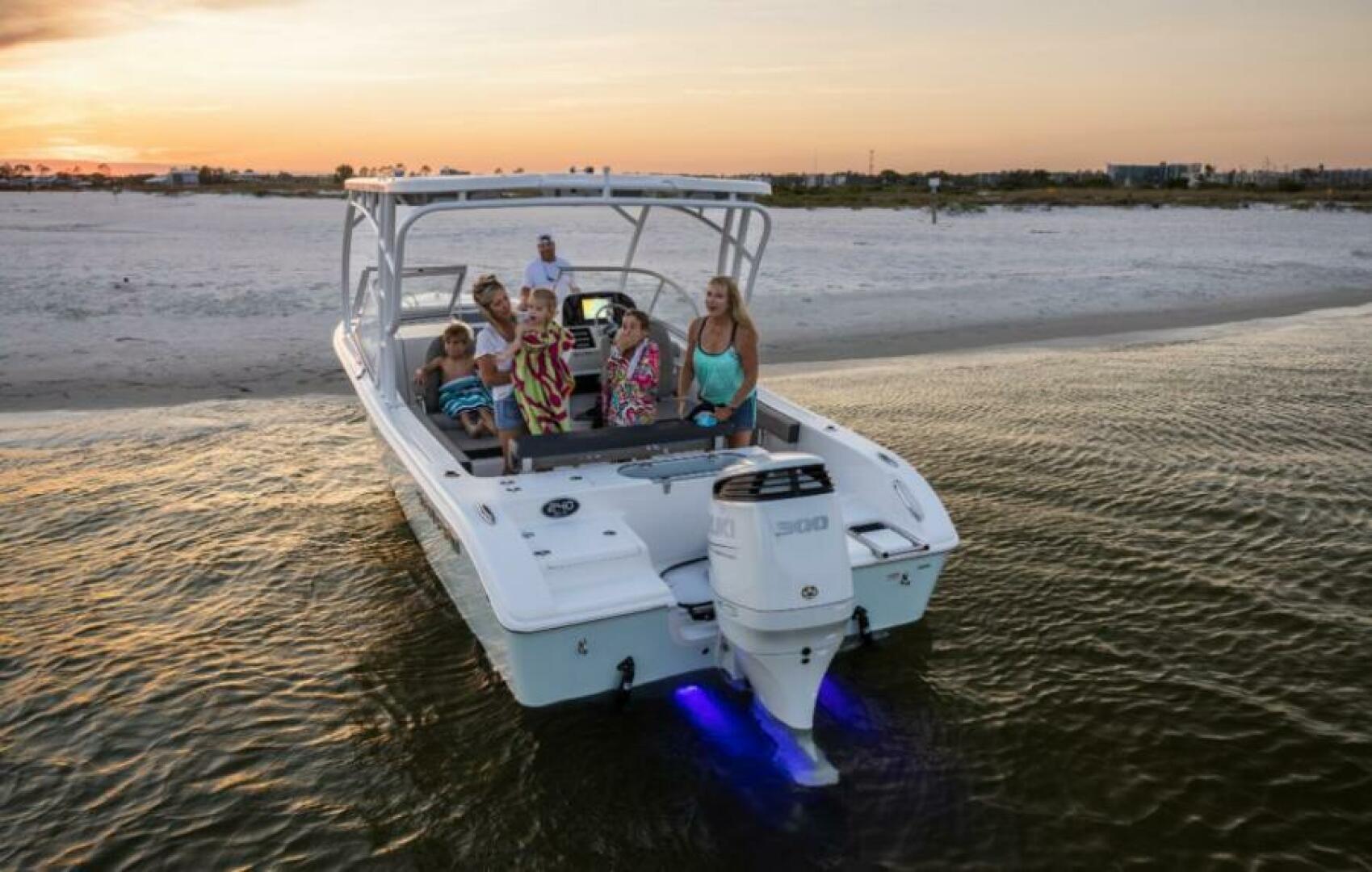 Slide: The Image of Sea Pro 240 Dual Console 2025 - 5174970