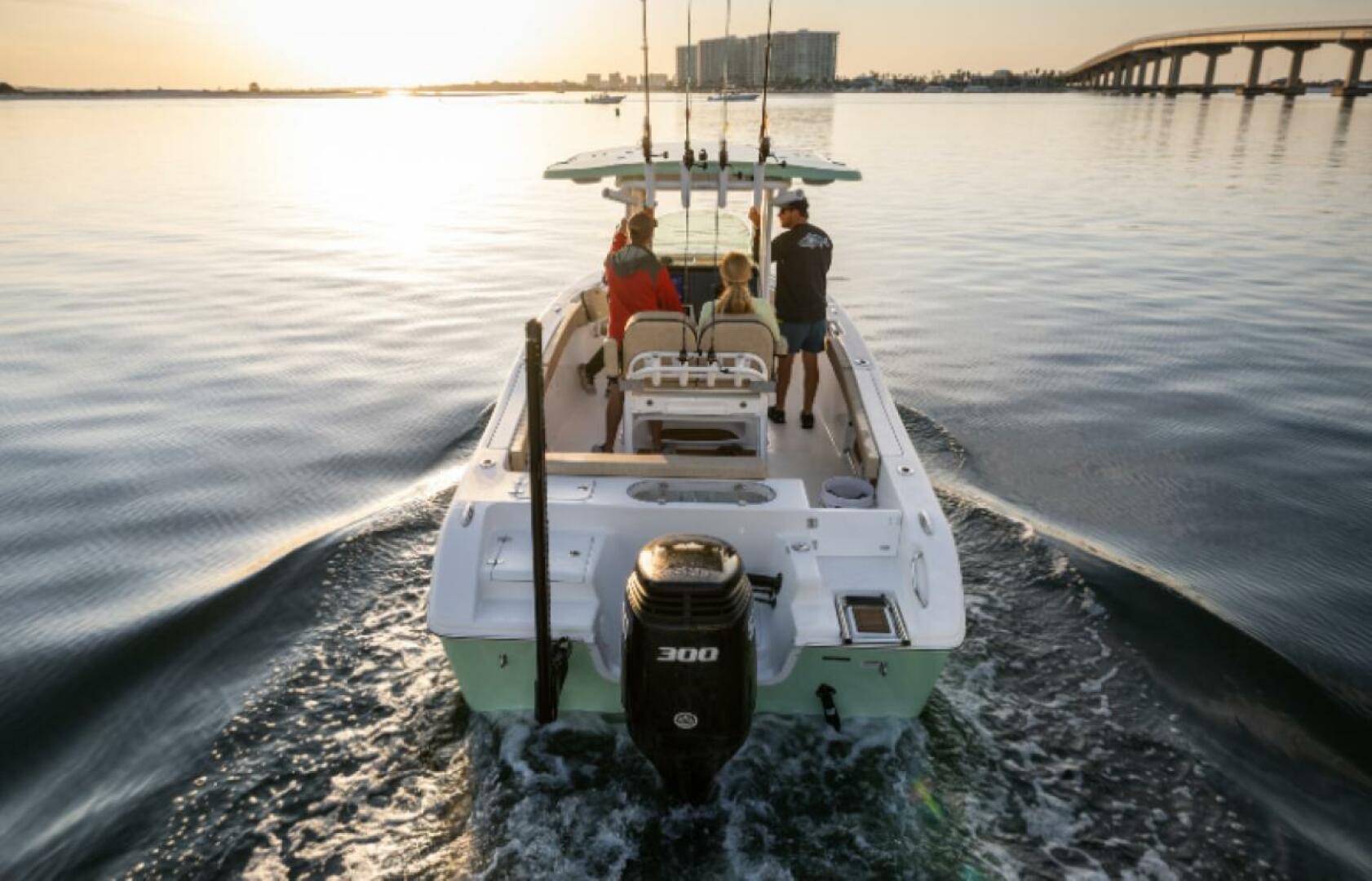 Slide: The Image of Sea Pro 242 Center Console 2025 - 4328606