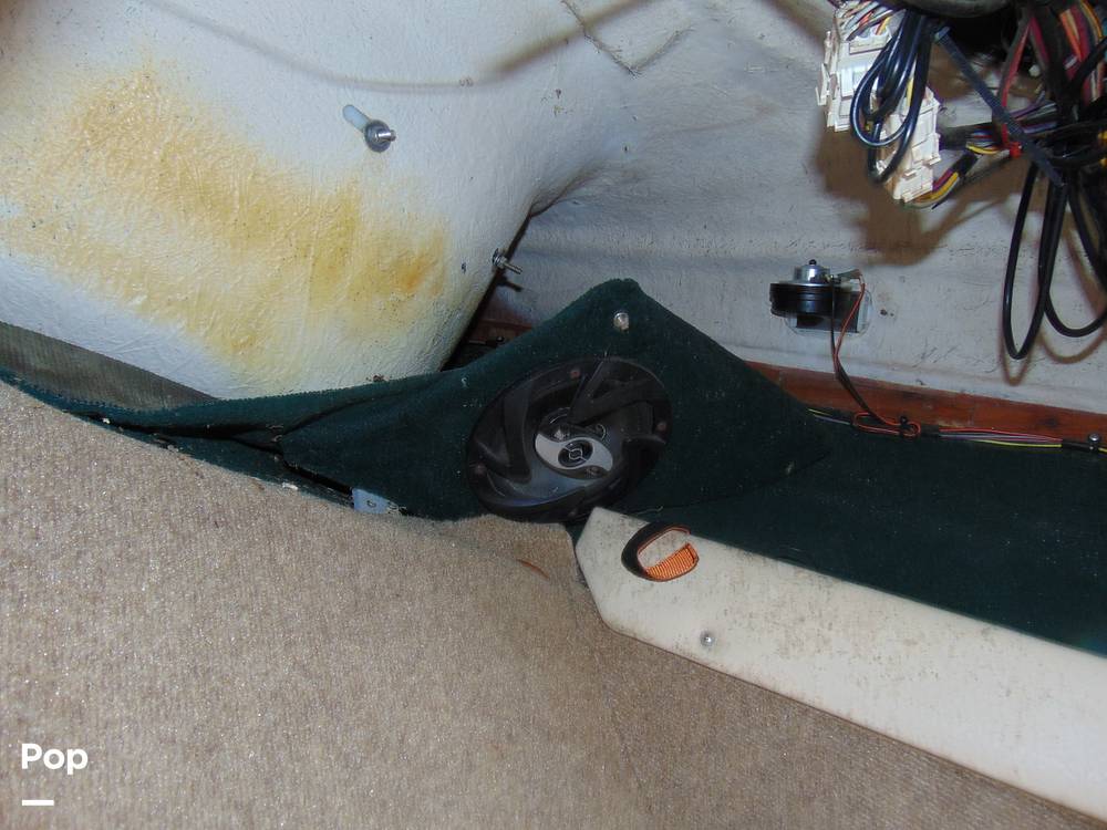 Slide: The Image of Underside of Helm - 12238337