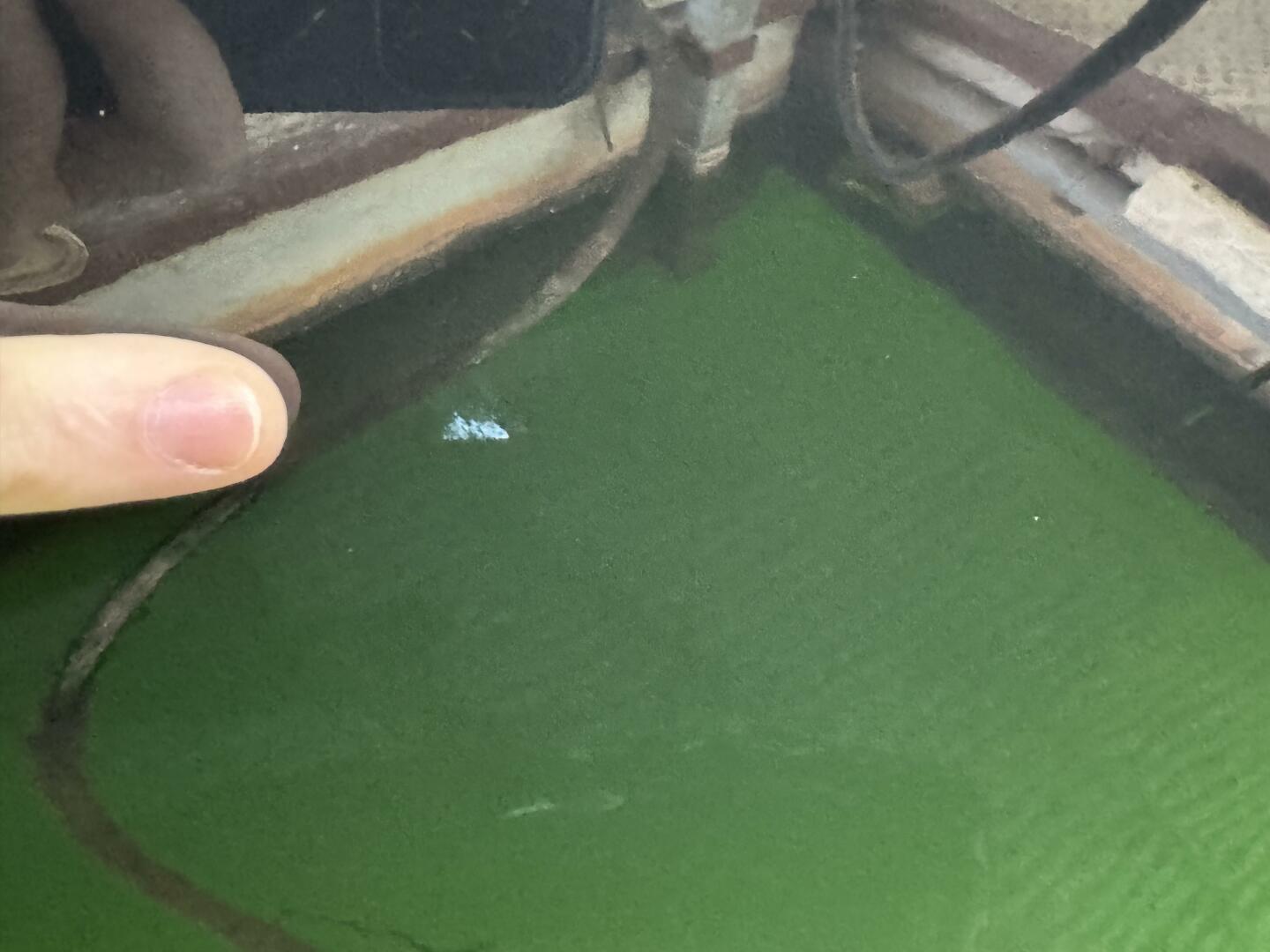 Slide: The Image of Sea Ray 200 Select with Wakeboard Tower and Trailer 2005 - 5346227