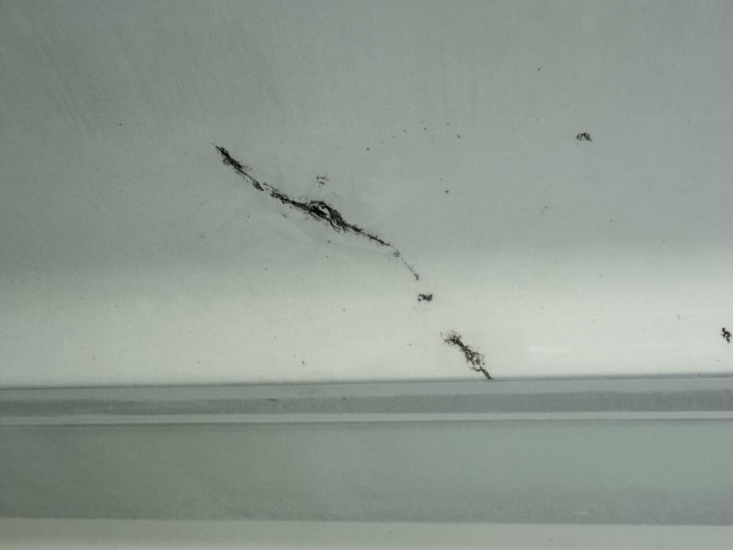 Slide: The Image of Sea Ray 200 Select with Wakeboard Tower and Trailer 2005 - 5346283