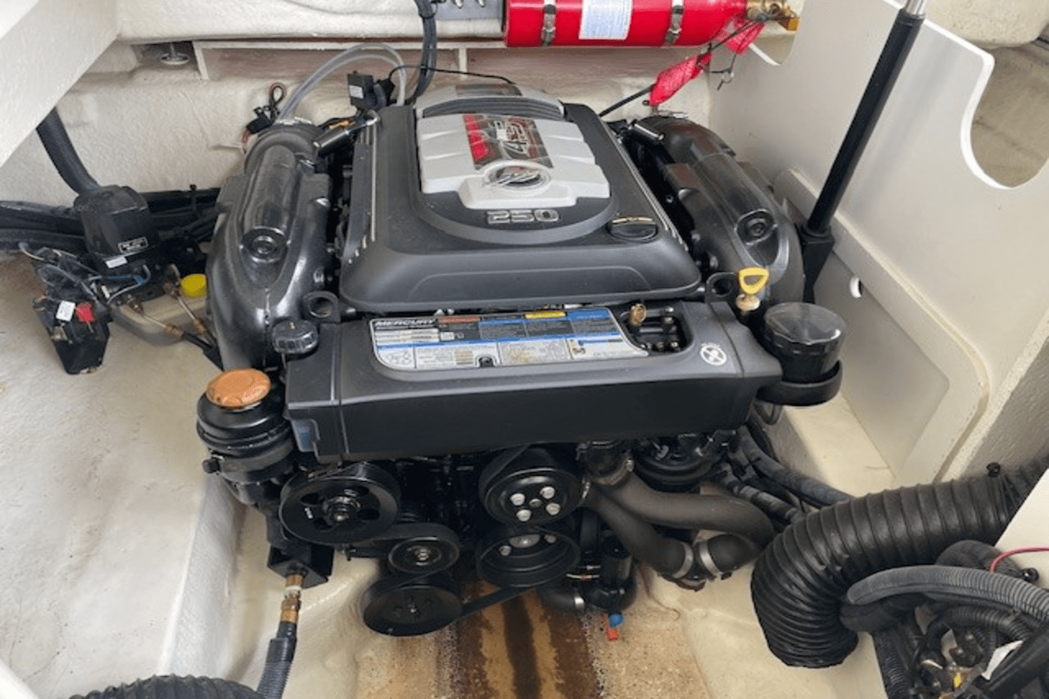 Slide: The Image of Sea Ray 230 SLX 2019 - 4