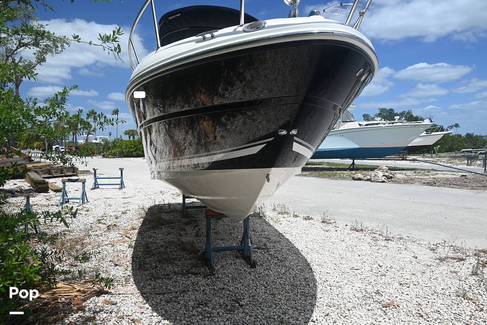 Slide: The Image of Sea Ray 240 Sundancer 2008 - 15339457