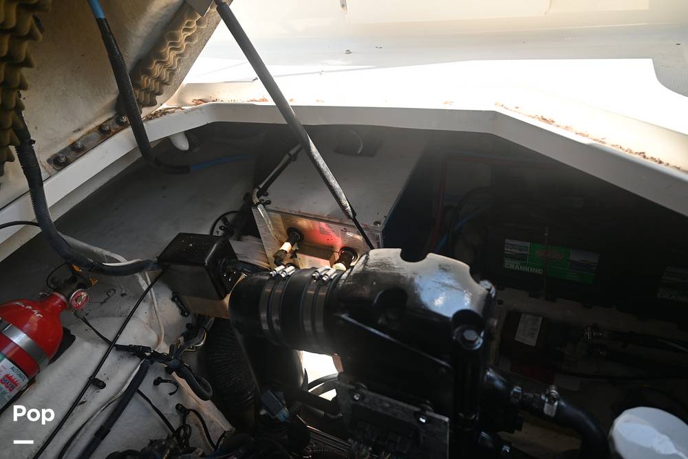 Slide: The Image of Sea Ray 240 Sundancer 2008 - 15339481