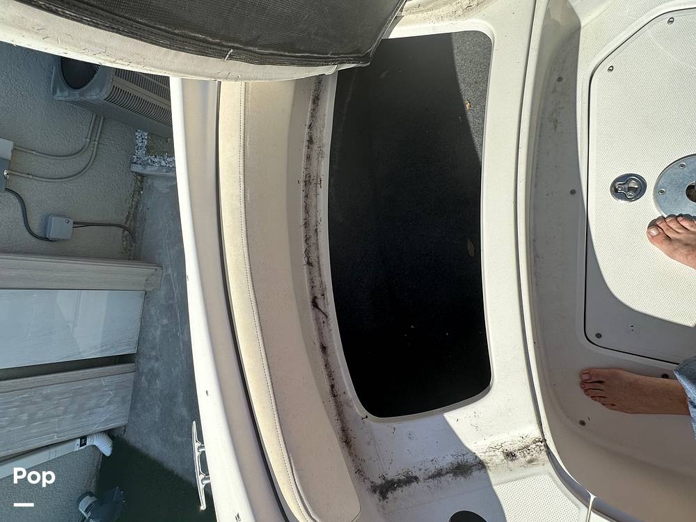 Slide: The Image of Sea Ray 240 Sundeck 2008 - 13025048