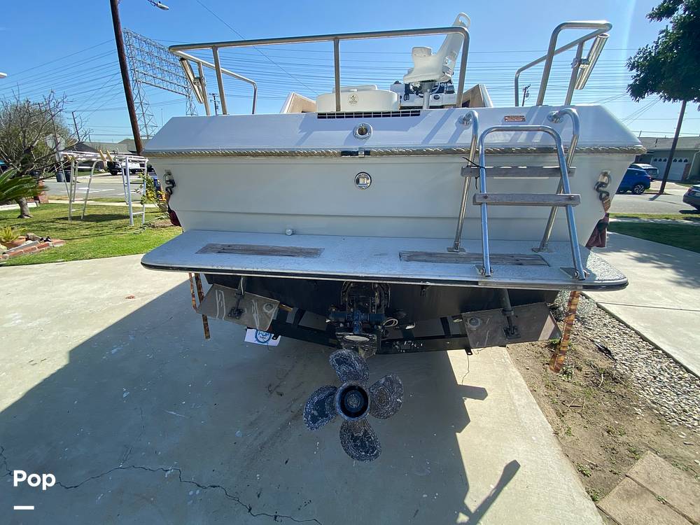 Slide: The Image of Sea Ray 245 Sundancer 1982 - 8642487
