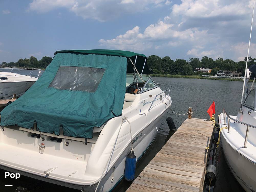 Slide: The Image of Sea Ray 250 Sundancer 1995 - 9195375