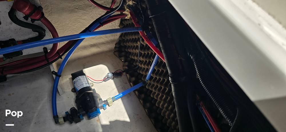 Slide: The Image of Sea Ray 250 Sundancer Anniversary Edition 2009 - 15305353