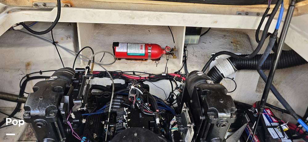 Slide: The Image of Sea Ray 250 Sundancer Anniversary Edition 2009 - 15305355