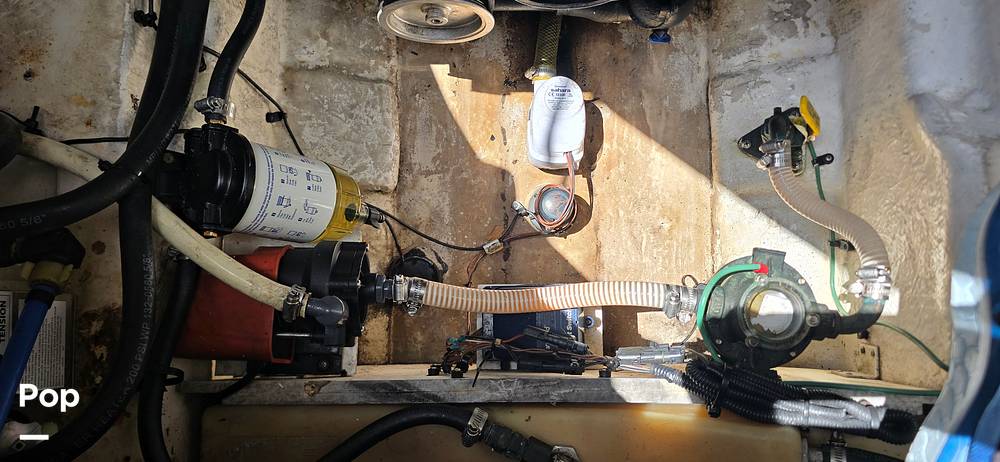 Slide: The Image of Sea Ray 250 Sundancer Anniversary Edition 2009 - 15305357