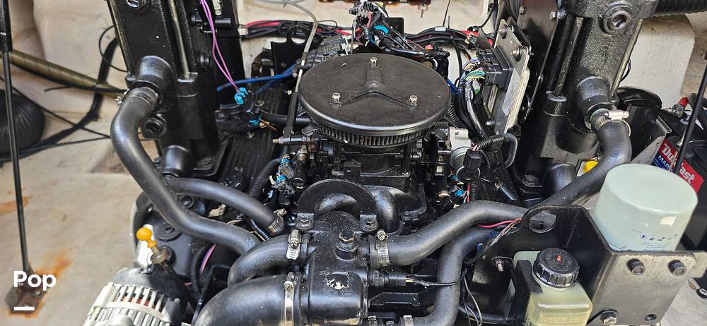 Slide: The Image of Sea Ray 250 Sundancer Anniversary Edition 2009 - 15305358