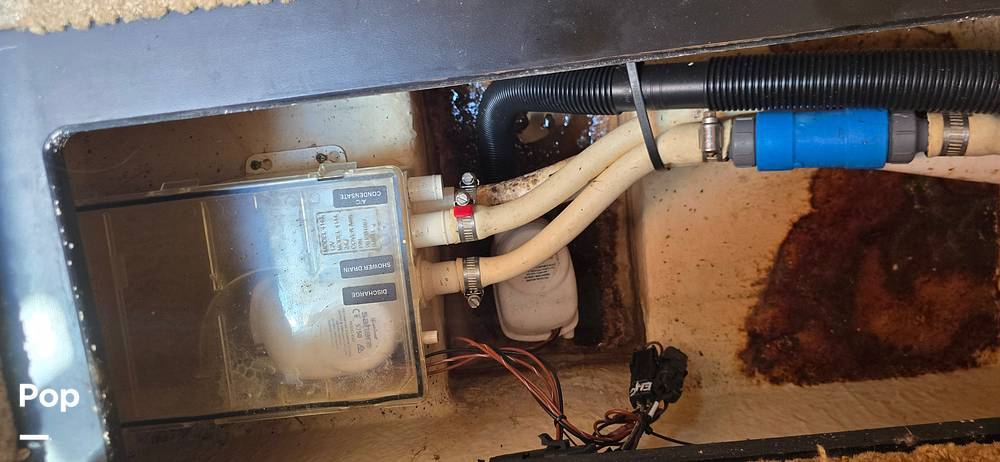 Slide: The Image of Sea Ray 250 Sundancer Anniversary Edition 2009 - 15305429