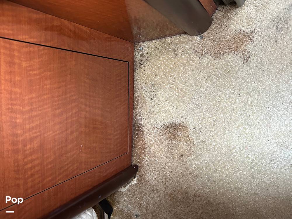 Slide: The Image of Slight Carpet Damage. No Soft Spot - 14872736