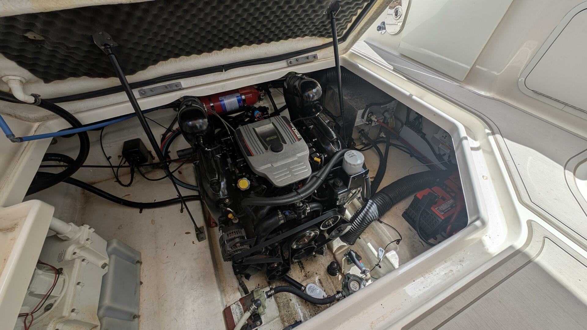 Slide: The Image of Sea Ray 260 Sundancer 2014 - 5199950