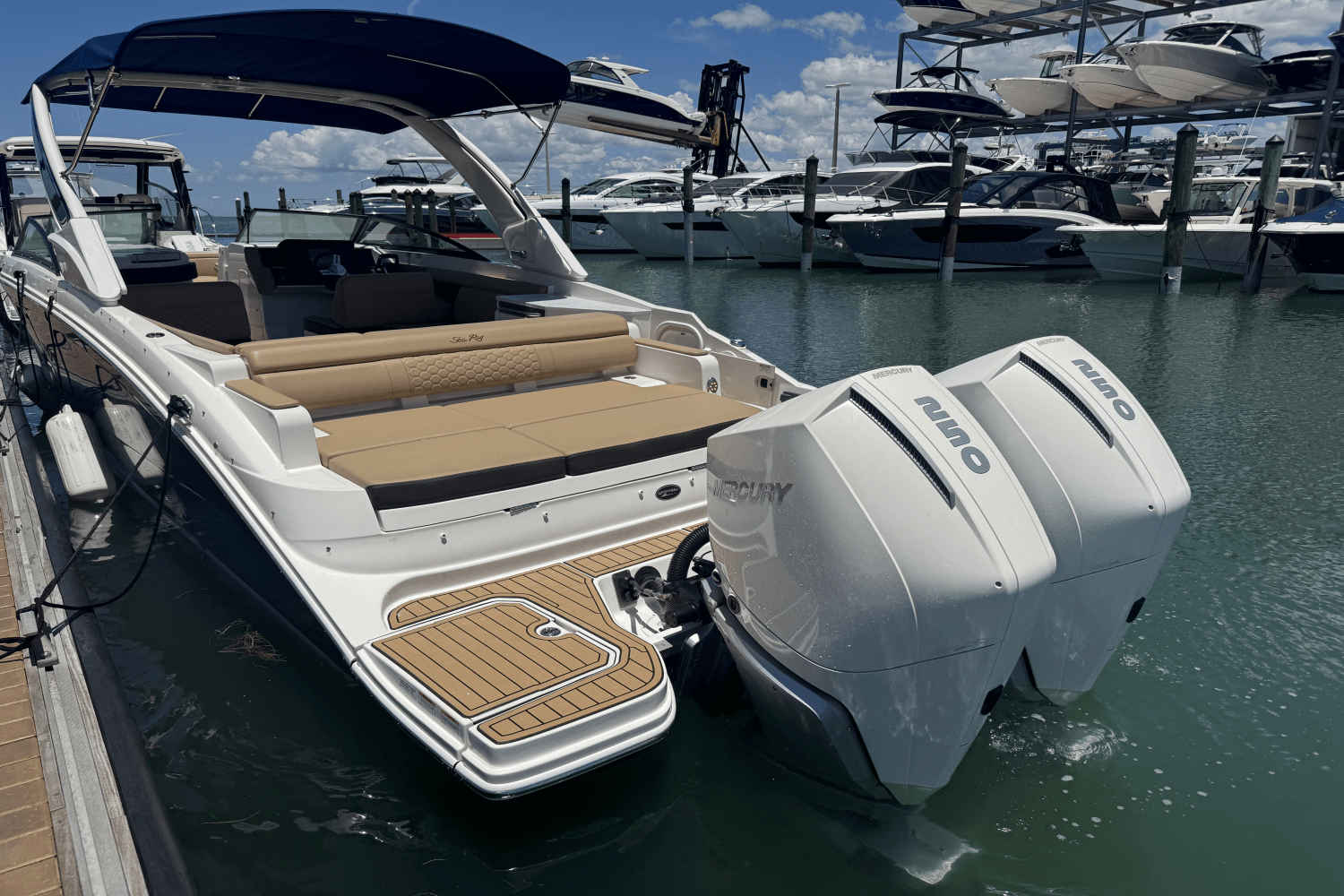 Slide: The Image of Sea Ray 290 SDX OUTBOARD 2022 - 12