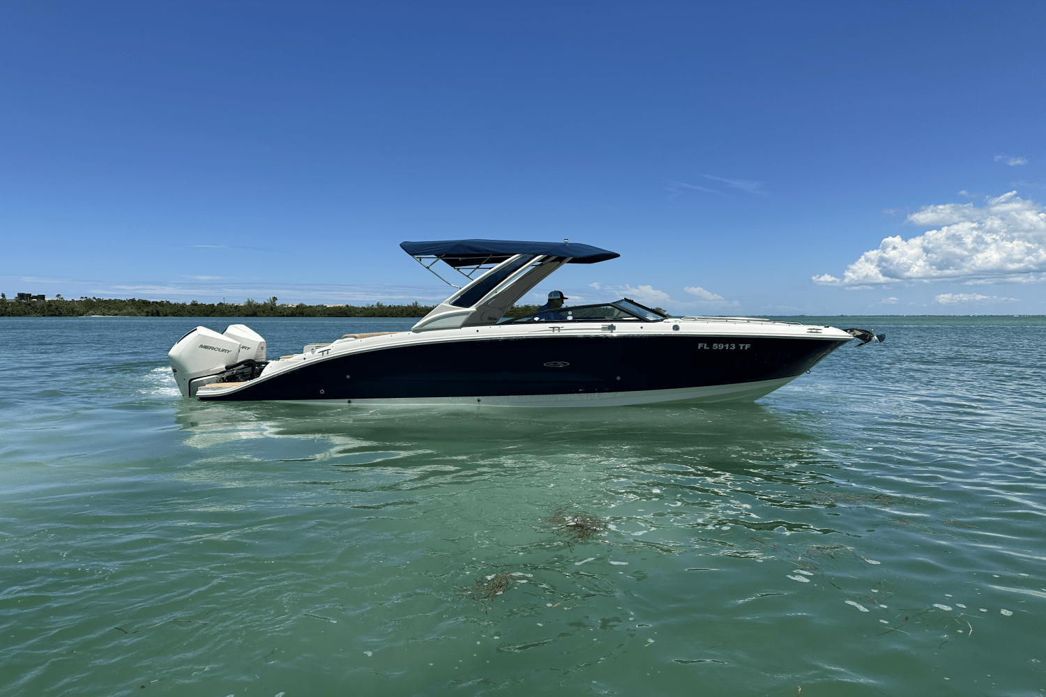 Slide: The Image of Sea Ray 290 SDX OUTBOARD 2022 - 4