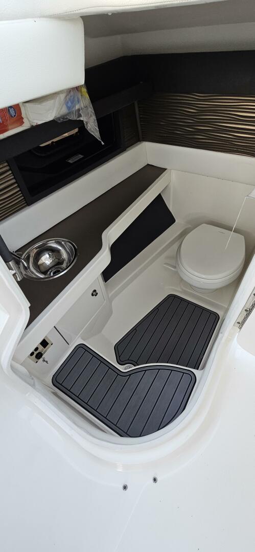 Slide: The Image of Sea Ray 310 SLX Outboard 2017 - 5107587