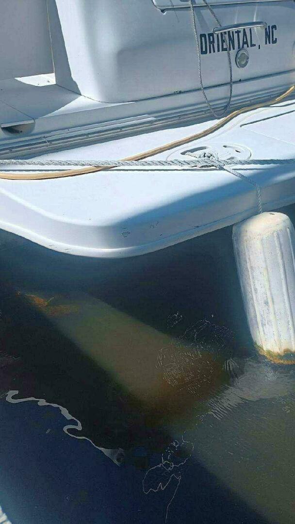 Slide: The Image of Sea Ray 310 Sundancer 1999 - 4888046