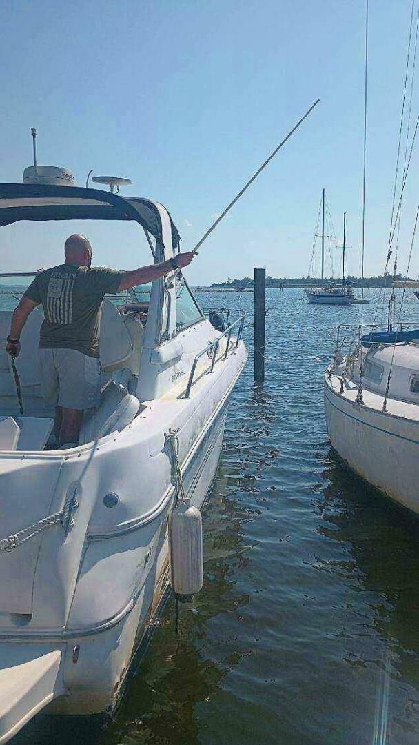 Slide: The Image of Sea Ray 310 Sundancer 1999 - 4888036