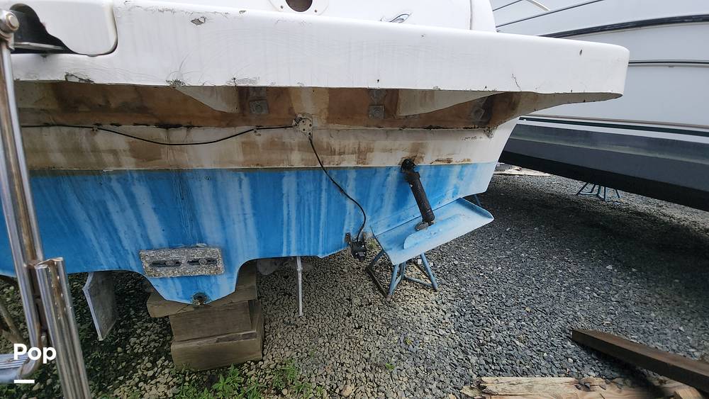 Slide: The Image of Sea Ray 310 Sundancer 1999 - 11062036