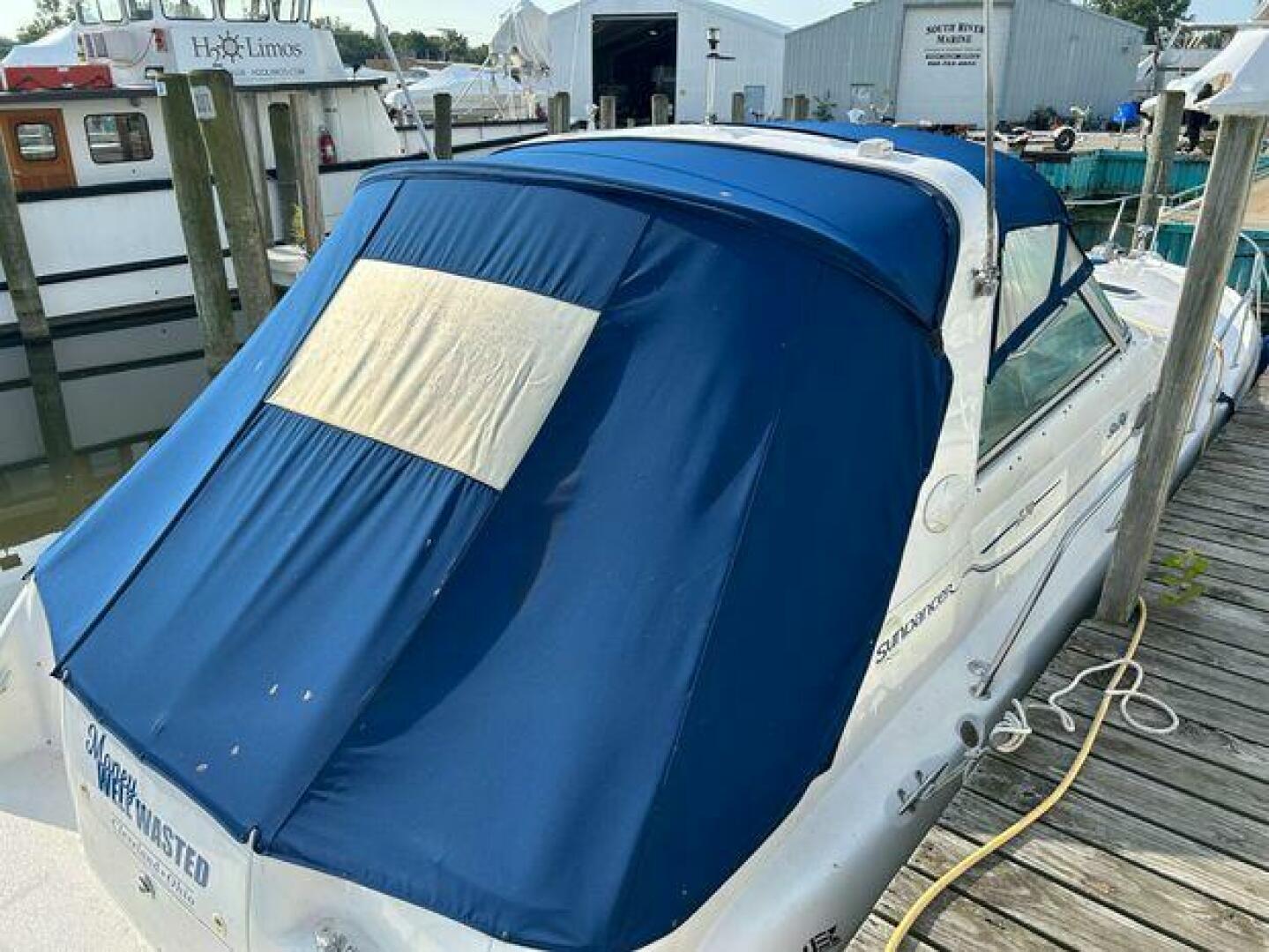 Slide: The Image of Sea Ray 33 1995 - 5111978