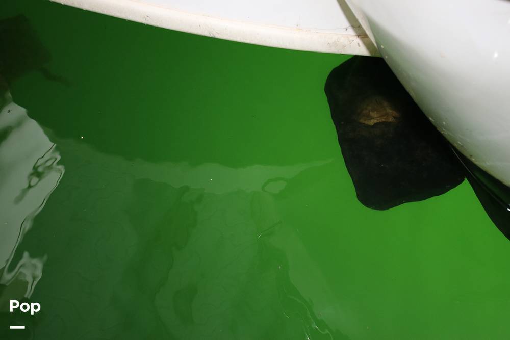 Slide: The Image of Sea Ray 330 Sundancer 1997 - 14424734