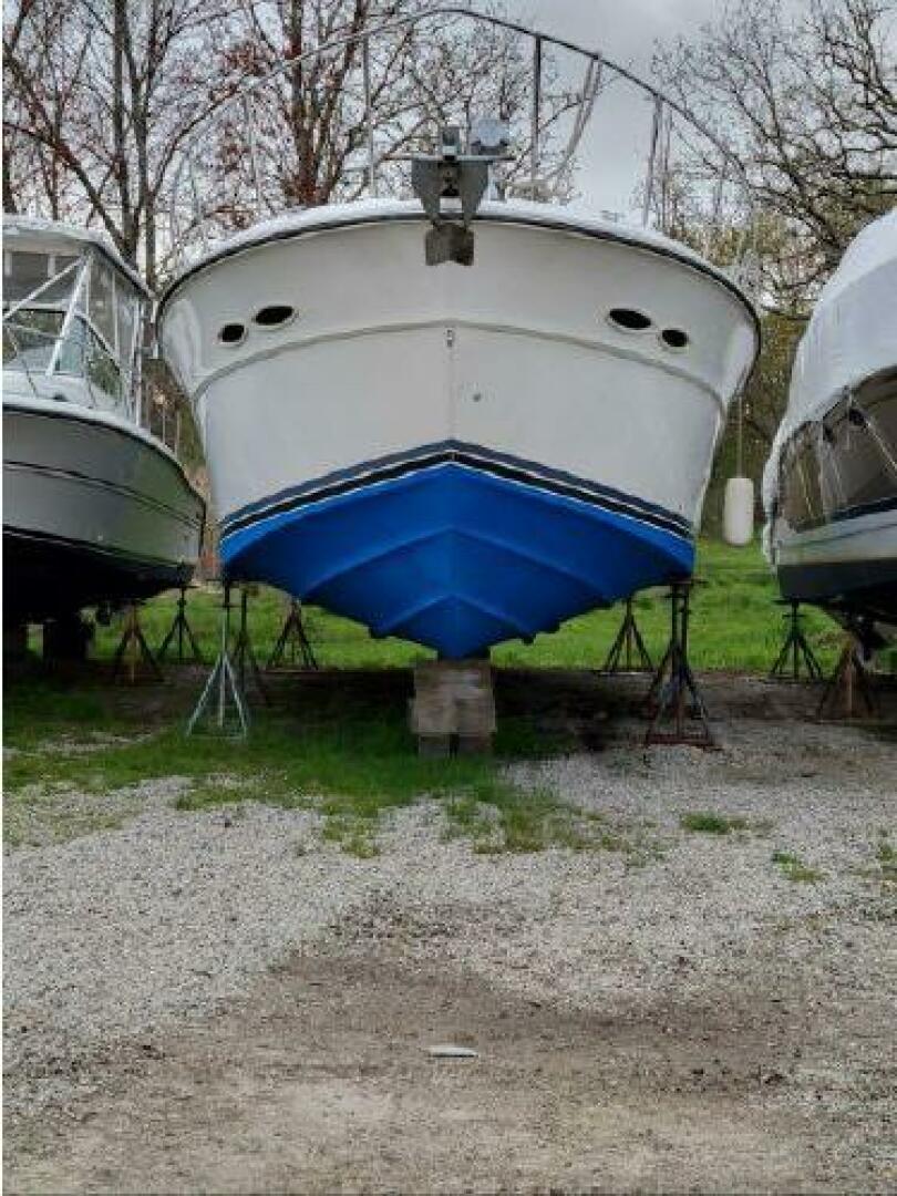 Slide: The Image of Sea Ray 39 1989 - 3775667