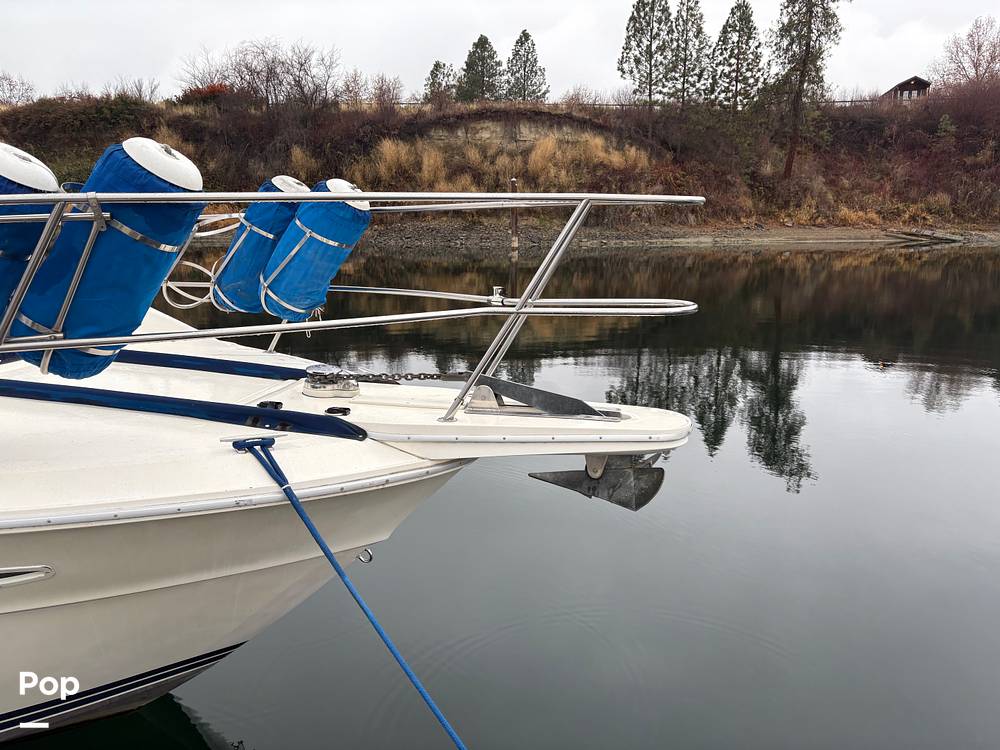 Slide: The Image of Sea Ray 390 Sportfisher 1985 - 15000681