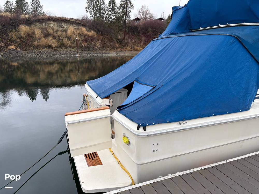Slide: The Image of Sea Ray 390 Sportfisher 1985 - 15000473