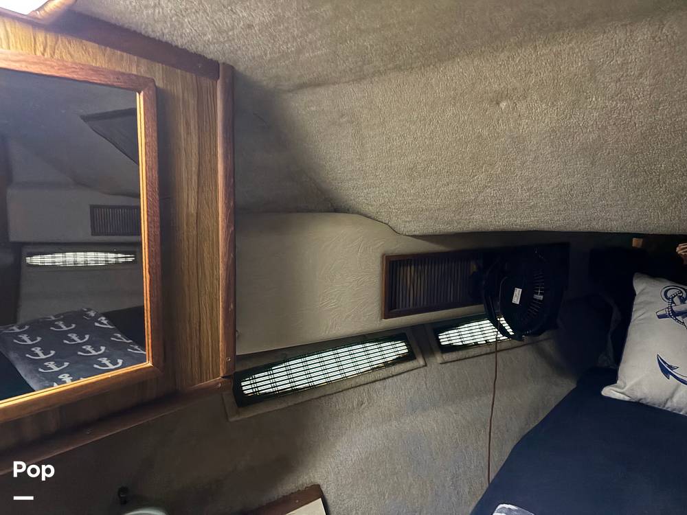 Slide: The Image of Sea Ray 390 Sportfisher 1985 - 15000572