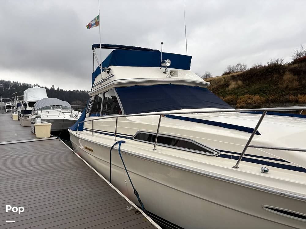 Slide: The Image of Sea Ray 390 Sportfisher 1985 - 15000470