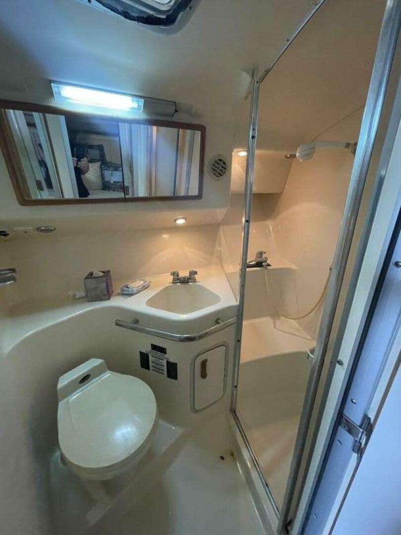 Slide: The Image of Head  head with separate shower - 5110134