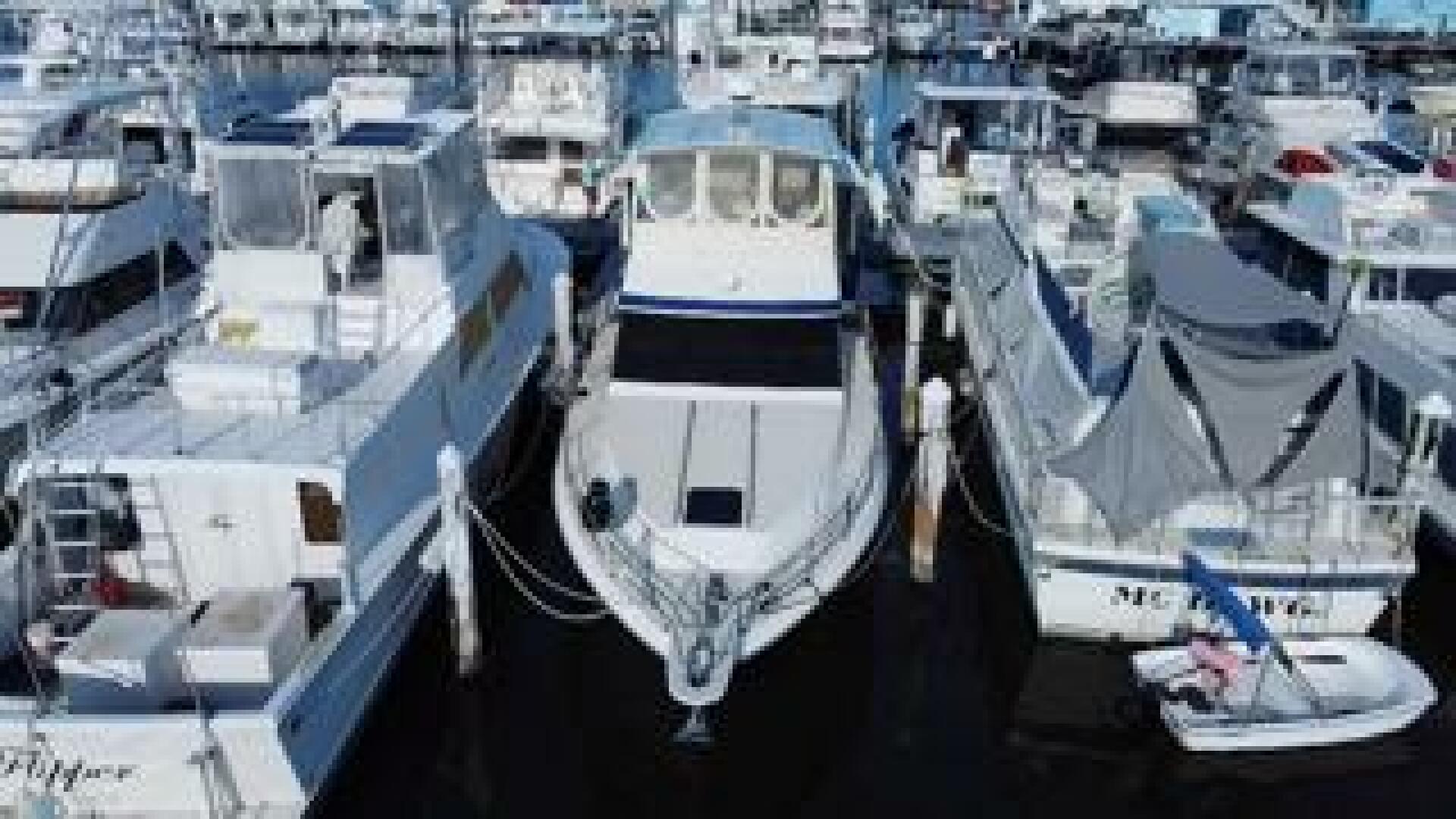 Slide: The Image of Sea Ray 410 1987 - 5022572