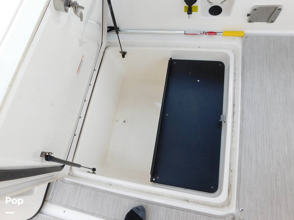 Slide: The Image of Sea Ray SDX 250 2021 - 14119293