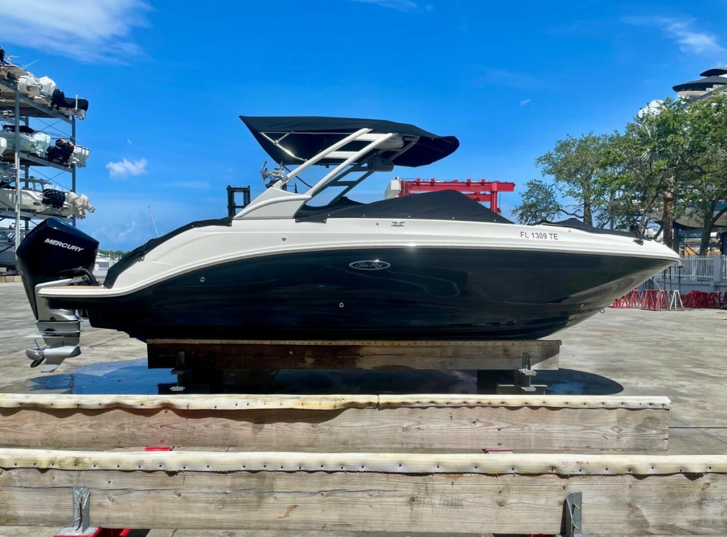 Slide: The Image of Sea Ray SDX 250 Outboard 2022 - 5474100