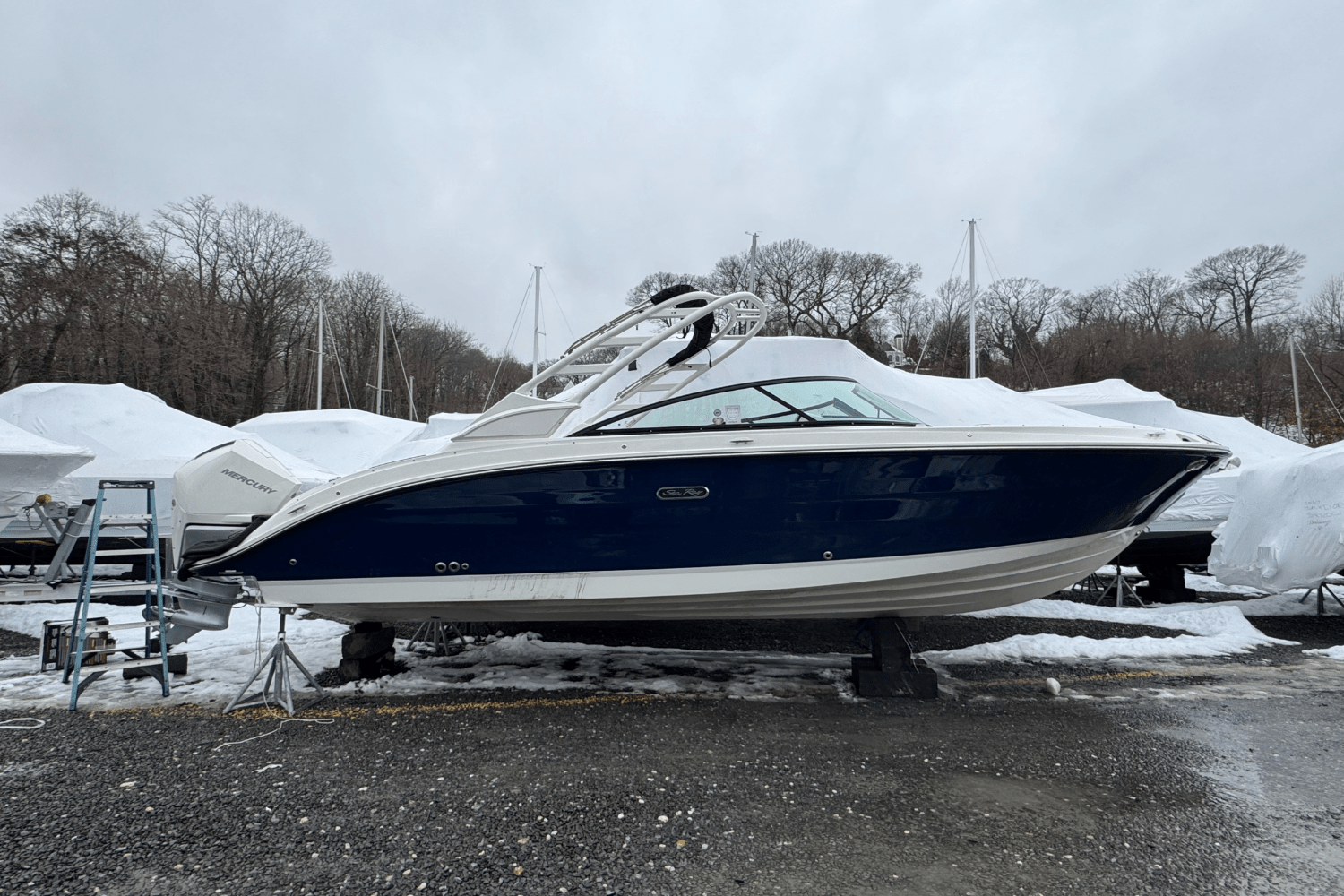 Slide: The Image of Sea Ray SDX 250 Outboard 2025 - 1