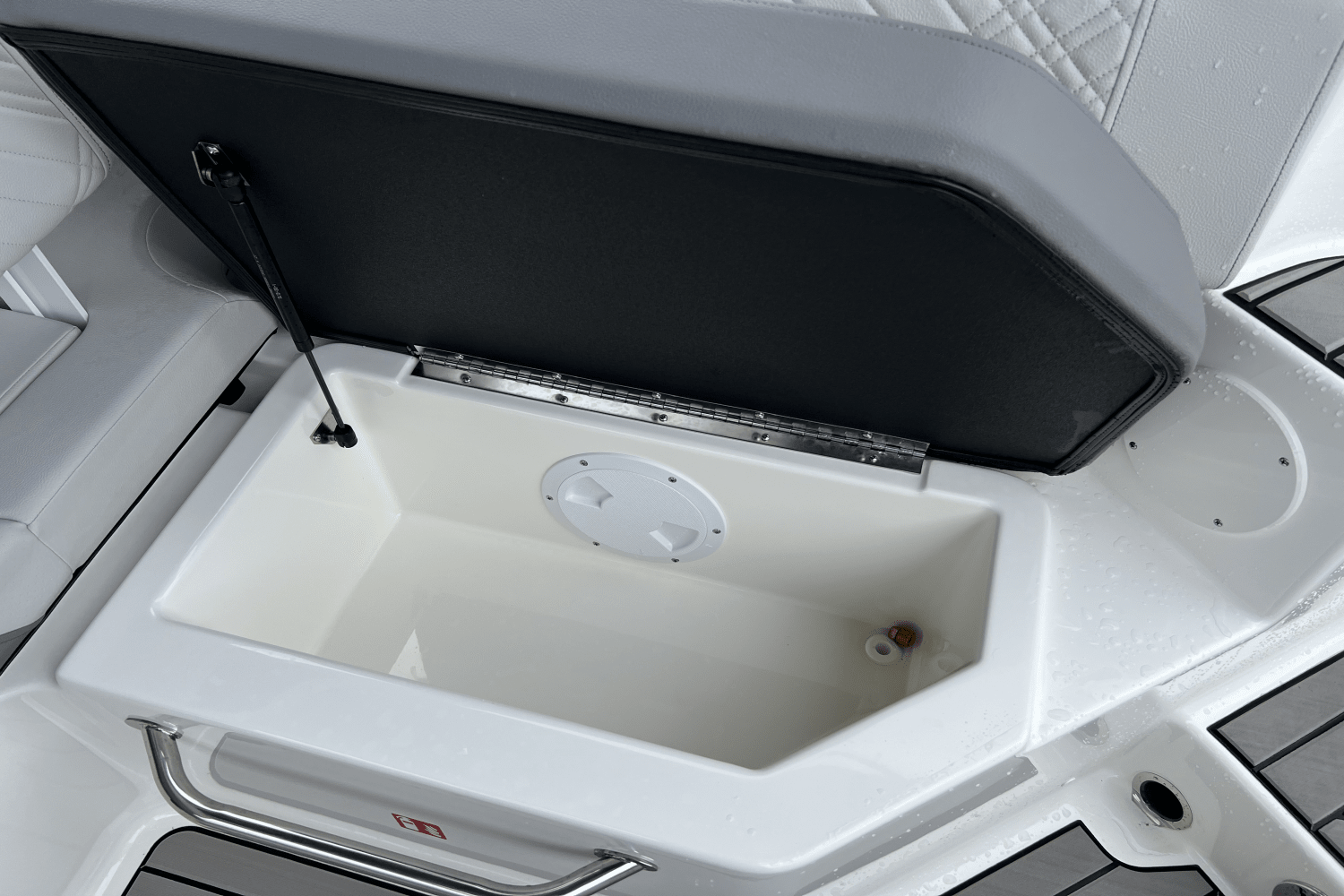 Slide: The Image of Sea Ray SDX 250 Outboard 2025 - 13